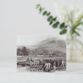 Norfolkinsel Postkarte (Stehend Vorderseite)