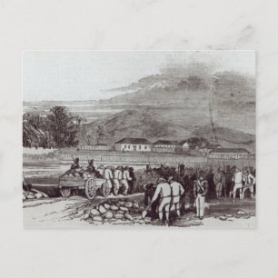 Norfolkinsel Postkarte