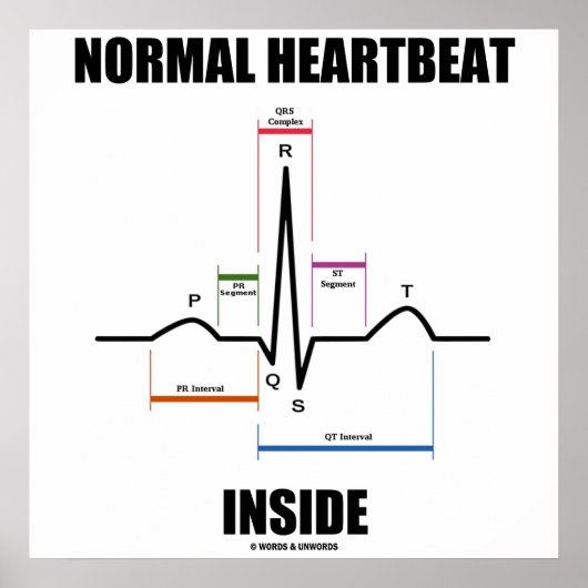 Normal Heartbeat Inside EKG EKG Elektrokardiogramm Poster (Vorne)