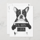 Normal sein ist lanweilig postkarte (Vorne/Hinten)