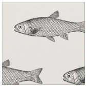 Normaler Fisch, Wahl des Farbverlaufs Stoff (Nahaufnahme)