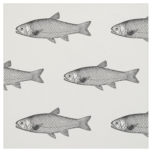 Normaler Fisch, Wahl des Farbverlaufs Stoff (Muster)
