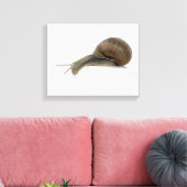Normalsnail Leinwanddruck (Insitu (Wohnzimmer))