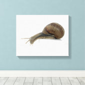 Normalsnail Leinwanddruck (Insitu (Holzboden))