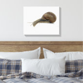 Normalsnail Leinwanddruck (Insitu (Schlafzimmer))