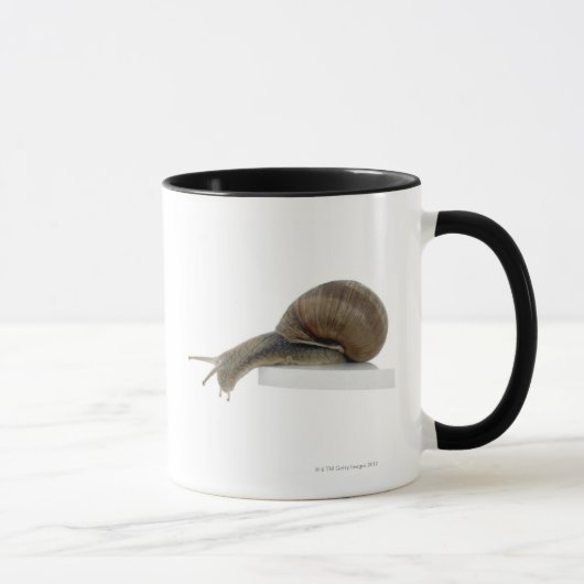 Normalsnail Tasse (Rechts)