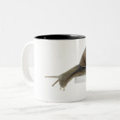 Normalsnail Zweifarbige Tasse (Vorderseite Links)
