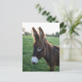 Normandie 2009 postkarte (Stehend Vorderseite)