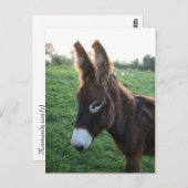 Normandie 2009 postkarte (Vorne/Hinten)