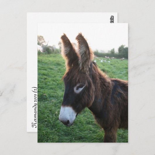 Normandie 2009 postkarte (Vorne/Hinten)