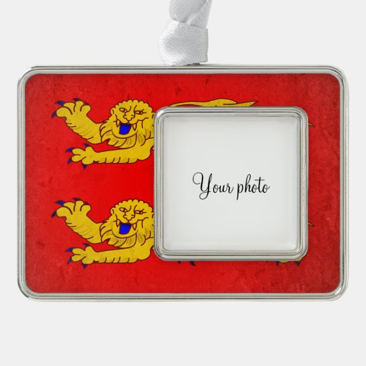 Normandie Rahmen-Ornament Silber (Vorderseite)