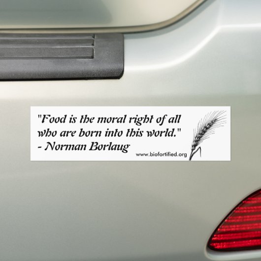 Normanne Borlaug Autoaufkleber (Auf Auto)