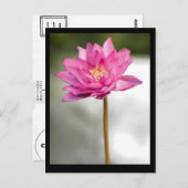 NORMAN'S LOTUS VISION POSTKARTE (Vorne/Hinten)