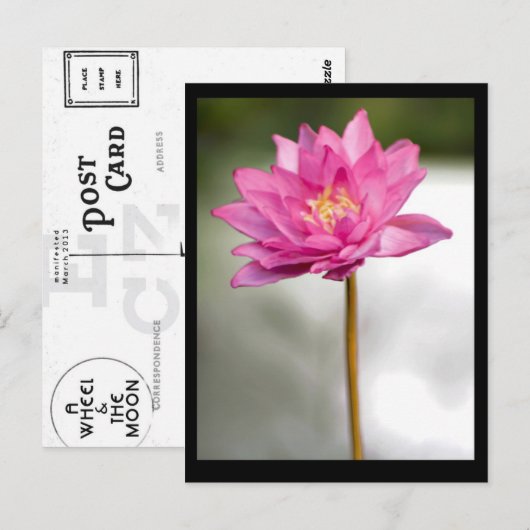 NORMAN'S LOTUS VISION POSTKARTE (Vorne/Hinten)