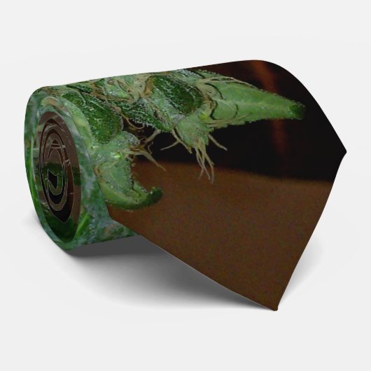 normtie krawatte (Gerollt)