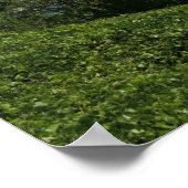 Norris Lake Print Poster (Ecke)