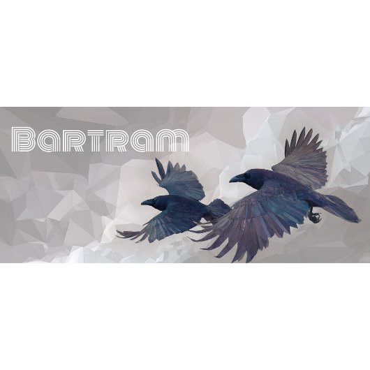 Norse Ravens Mythology Art - Huginn & Muninn - Kaffeetasse