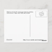 North_america_terrain_2003_map Postkarte (Rückseite)