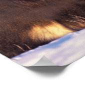 North America, USA, Alaska, Arctic Circle, Poster (Ecke)