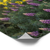 North America, USA, Oregon, Columbia River Poster (Ecke)