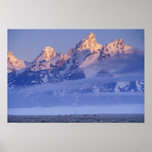 North America, USA, Wyoming, Grand Teton NP, 2 Poster