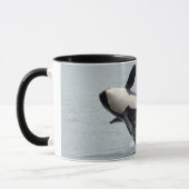 North America, Washington, San Juan Tasse (Links)