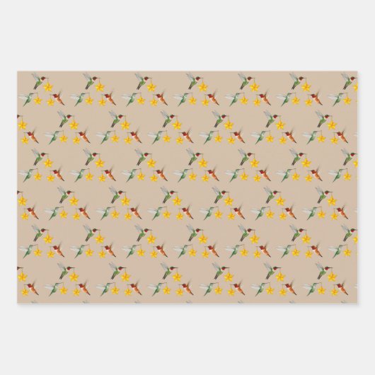 North American Hummingbirds Pattern Geschenkpapier Set (Vorderseite 3)
