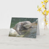 North American River Otter #2 Card Karte (Gelbe Blume)