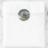 North American River Otter #2 Stickers (Tasche)