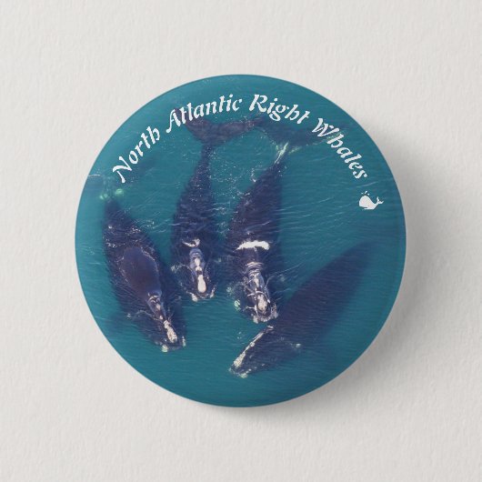 North Atlantic Right Whales von RoseWrites Button (Vorderseite)