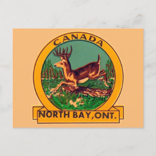 North Bay, Ontario - Postkarte