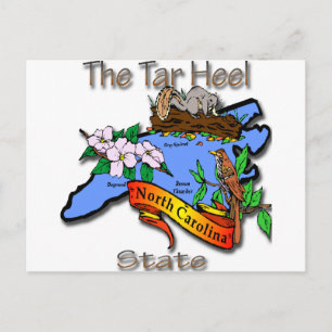 North Carolina Blue The Tar Heel Staat BirdFlower Postkarte