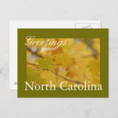 North Carolina Fall Postcard Postkarte (Vorne/Hinten)