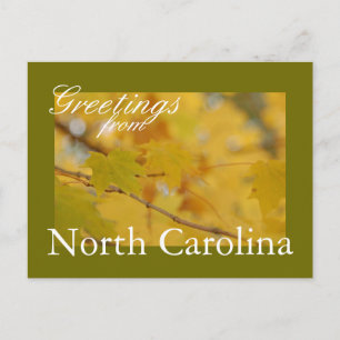 North Carolina Fall Postcard Postkarte