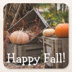 North Carolina, Linville, Herbstkürbise Rechteckiger Pappuntersetzer