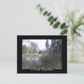 North Carolina Postcard Postkarte (Stehend Vorderseite)