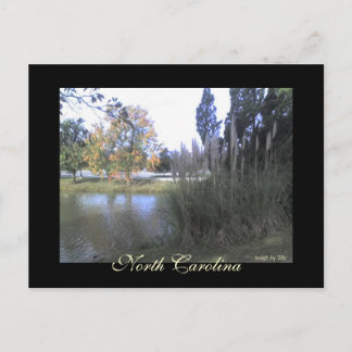 North Carolina Postcard Postkarte