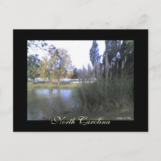 North Carolina Postcard Postkarte (Vorderseite)
