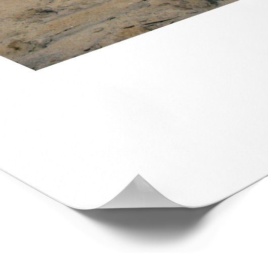 North Carolina Poster (Ecke)