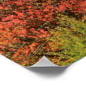 North Carolina Poster (Ecke)