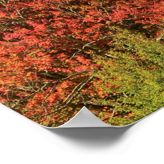 North Carolina Poster (Ecke)