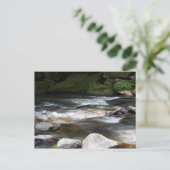 North Carolina Postkarte (Stehend Vorderseite)