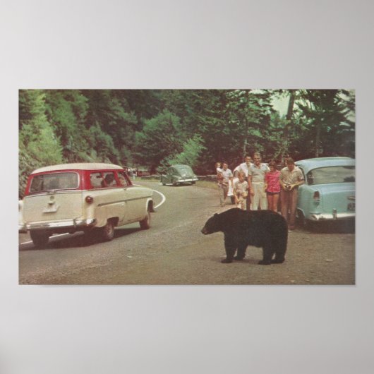 North Carolina Smoky Mountains Poster (Vorne)