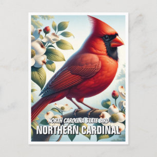 North Carolina Staat Bird Nordischer Kardinal Postkarte