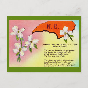 North Carolina State Flower Postkarte