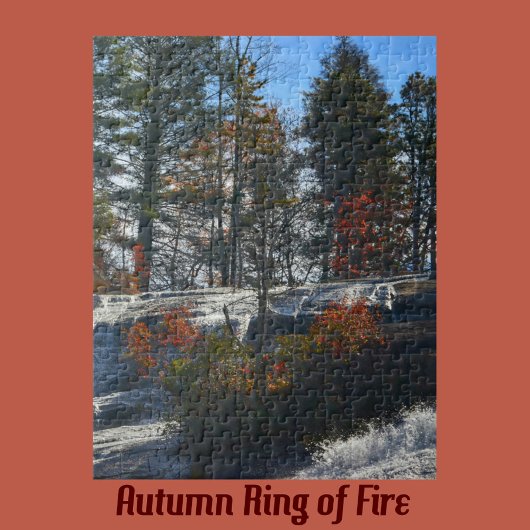 North Carolina Wasserfall High Falls Fotografie Puzzle