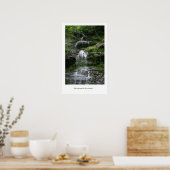 North Carolina Wasserfall Poster (Küche)