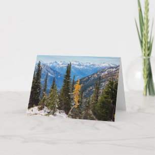 North Cascade Mountains Wenatchee National Forest Karte