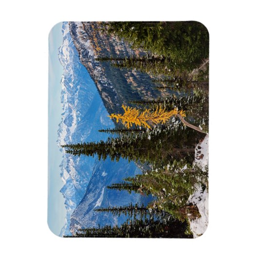North Cascade Mountains Wenatchee National Forest Magnet (Vertikal)