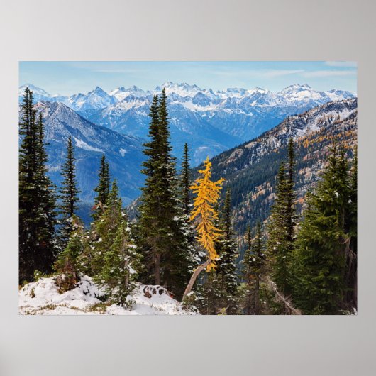 North Cascade Mountains Wenatchee National Forest Poster (Vorne)